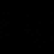 Антон Богомолов